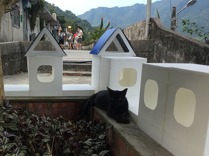 台湾の猫村「猴硐猫村」