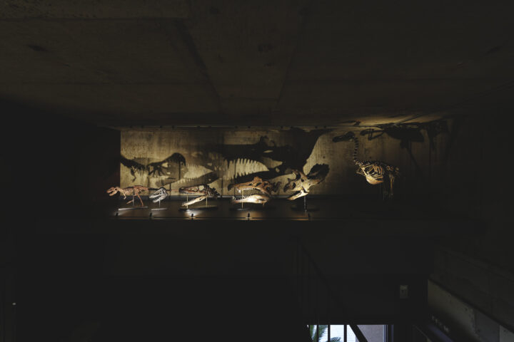 ナイトミュージアム 2025 by 買える化石博物館