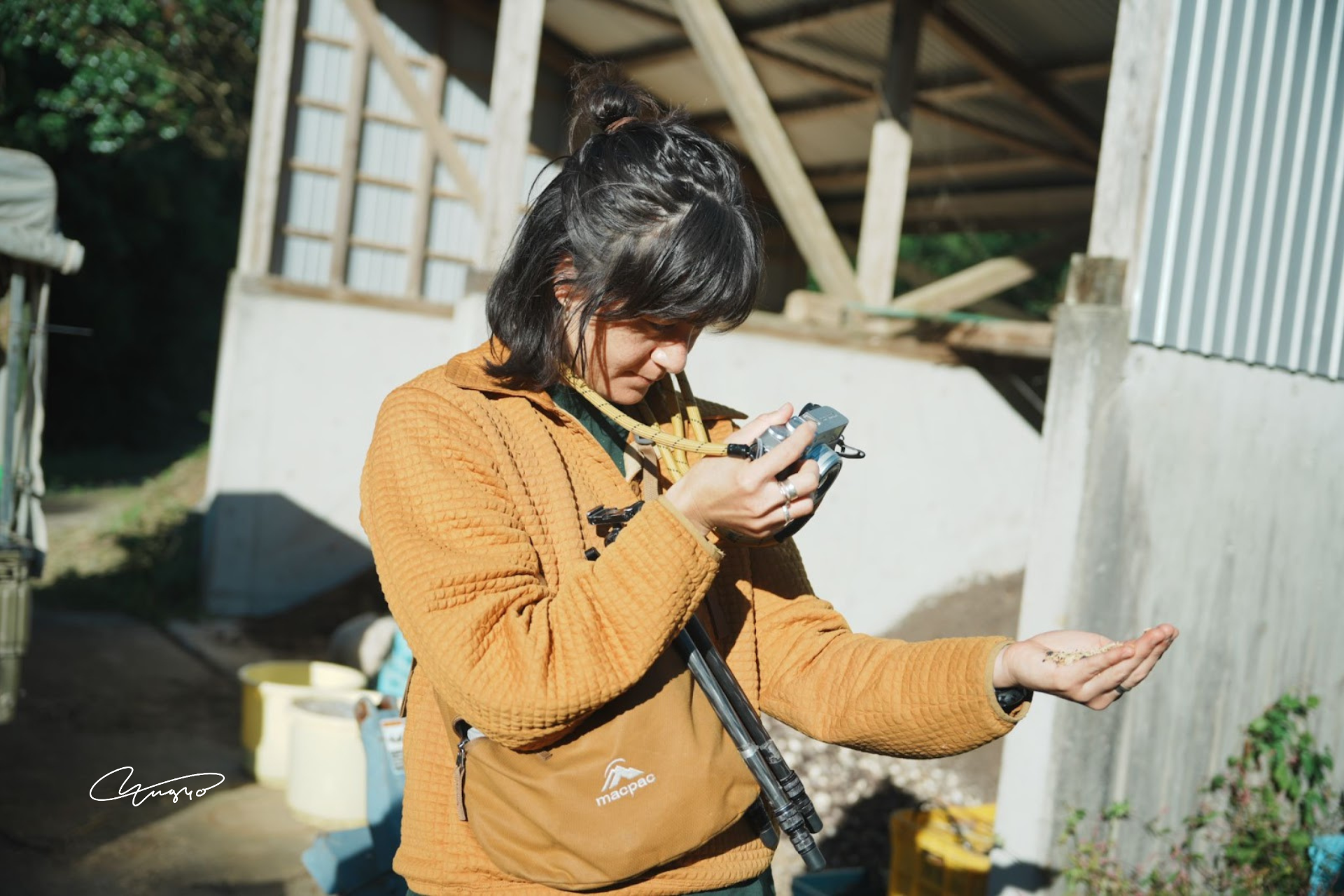 Grapher’s in Residence