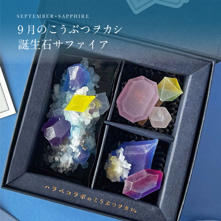 限定こうぶつヲカシ