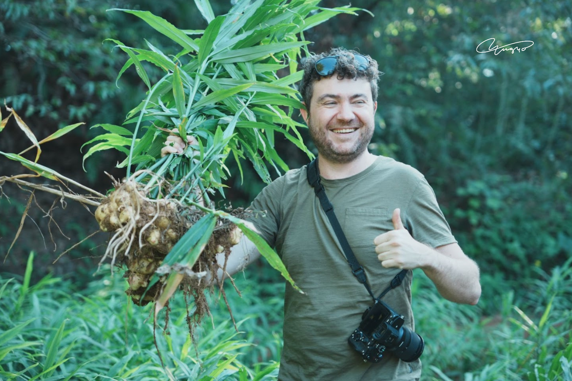 Grapher’s in Residence