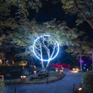 ナイトウォーク 狐の嫁入り 2025