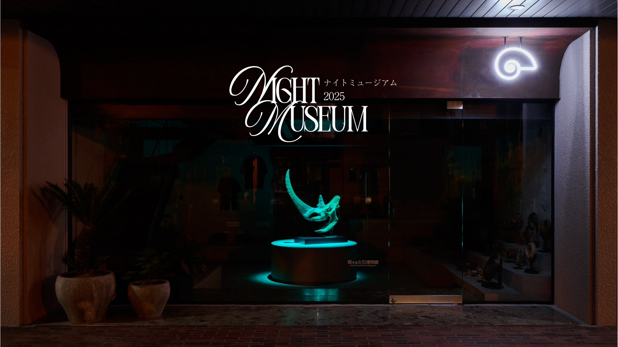 ナイトミュージアム 2025 by 買える化石博物館