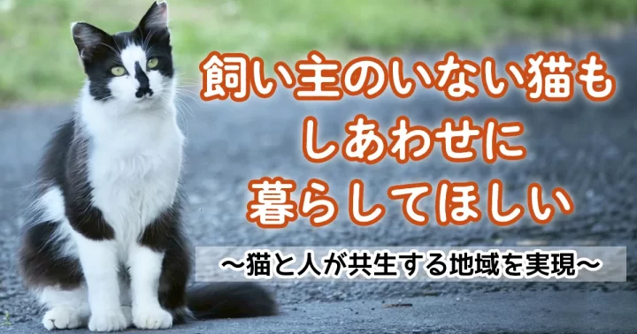 霧島市が飼い主のいない猫の不妊去勢を支援するクラウドファンディング型ふるさと納税を開始