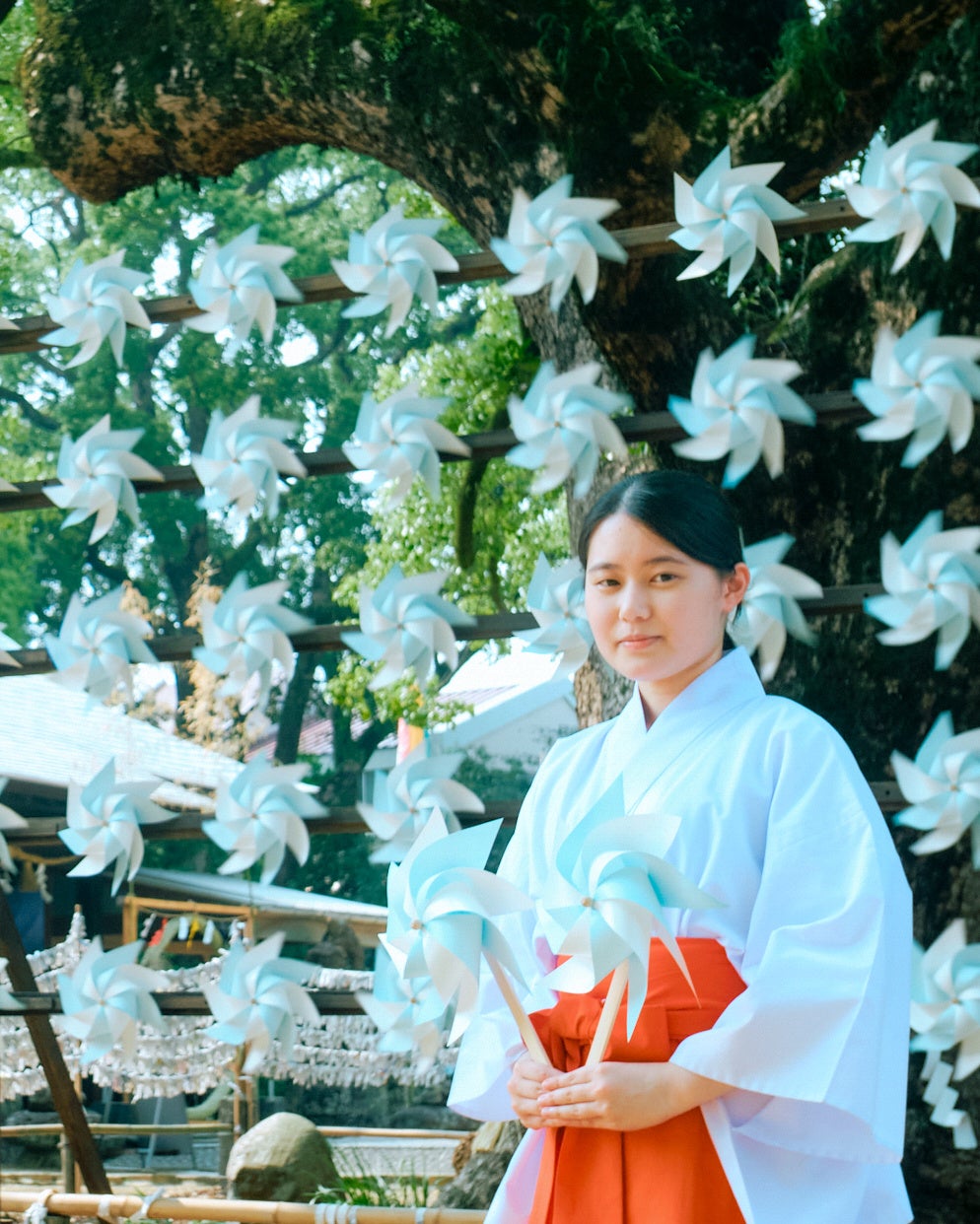 諫早神社「九州の守り神」