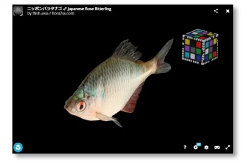 世界的に貴重な佐賀県東与賀の生き物の３Dデジタル図鑑を発表