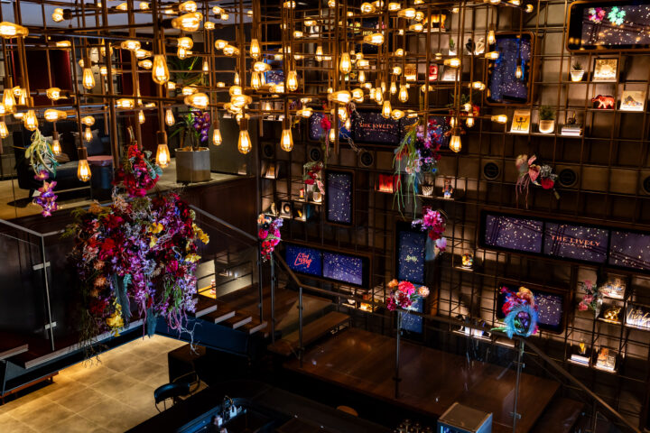 THE LIVELY 福岡博多