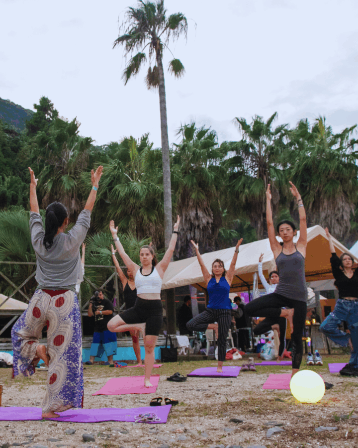 Synapse Festival 2025