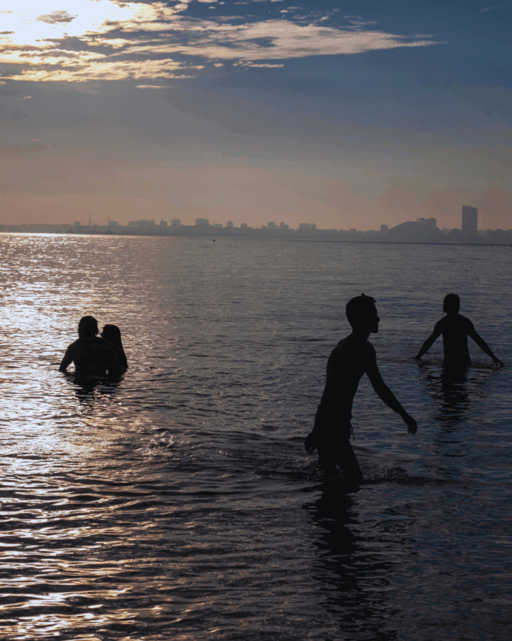 Synapse Festival 2025