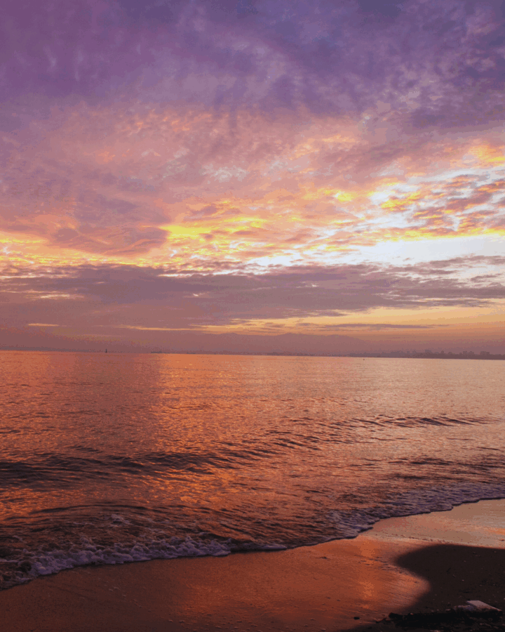 Synapse Festival 2025