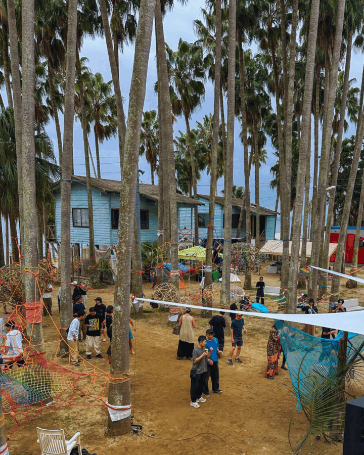 Synapse Festival 2025