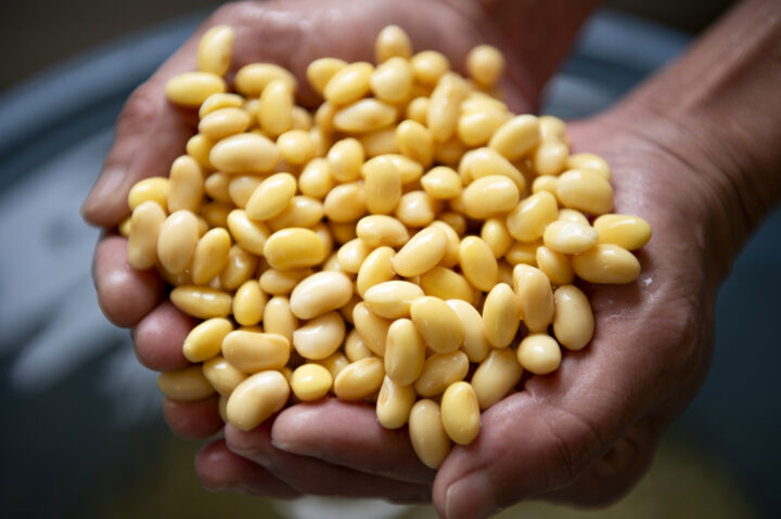 ゆき肌豆乳ジェラート