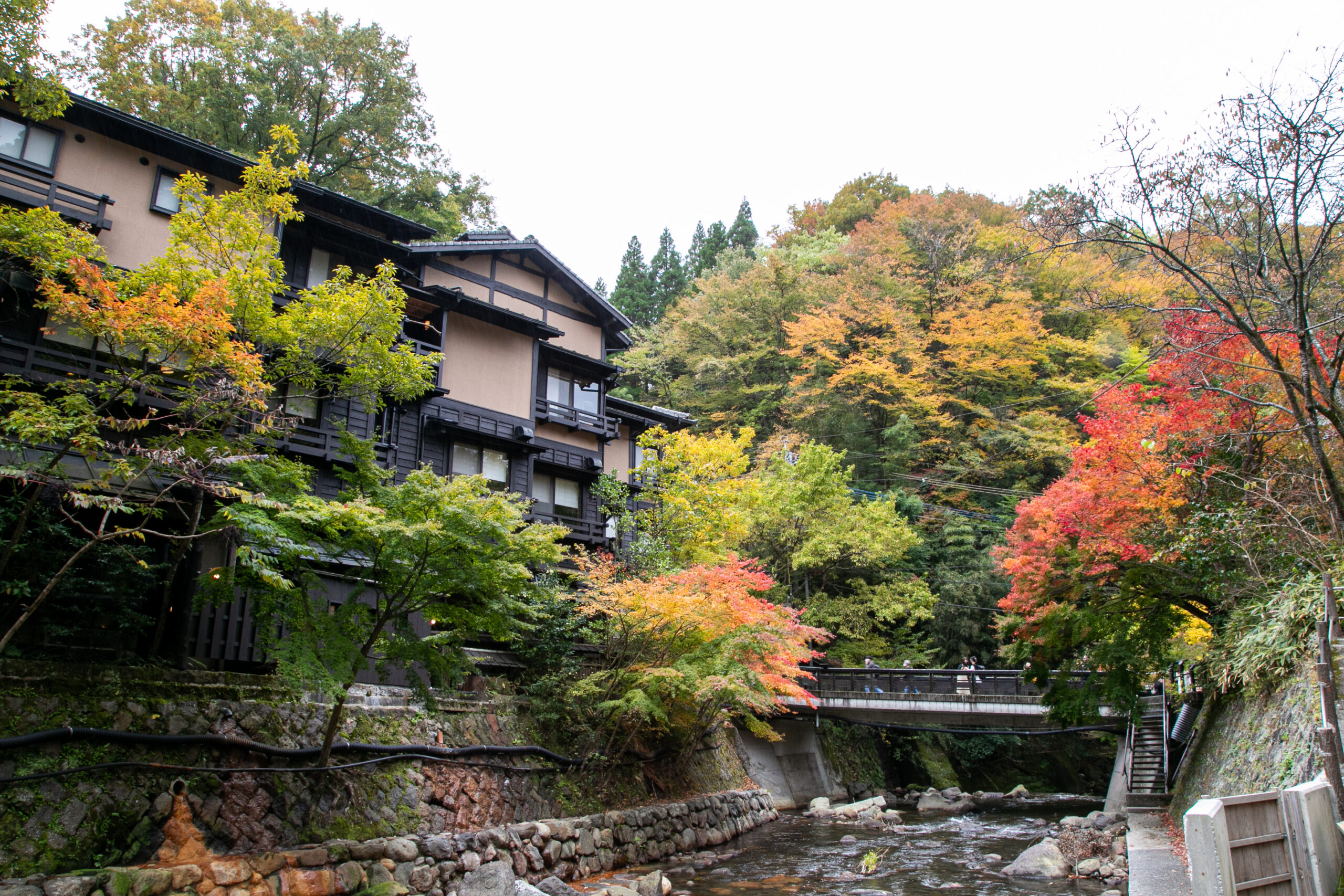 黒川温泉「熊本県産ブランド牛3種美食の旅」