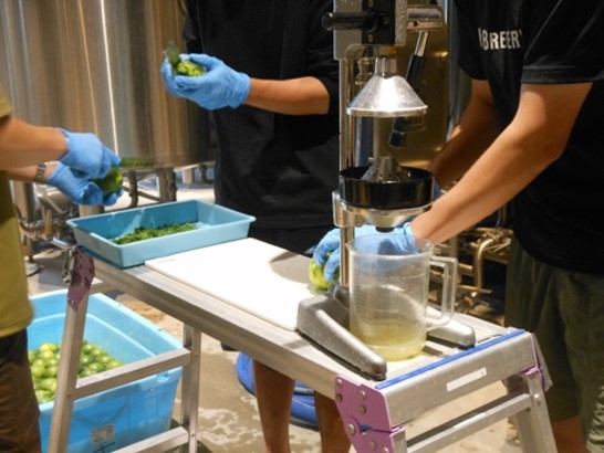 別府ブルワリー「Kabosu Saison 2025 初摘み ver.」