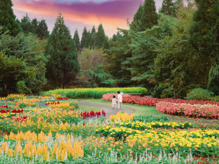 オータムフラワーフェスタ