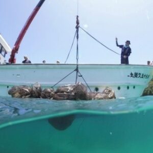 長崎｜WWFジャパンが五島市多々良島付近で高さ3メートルの巨大ゴーストギアを回収 2025年7月実施