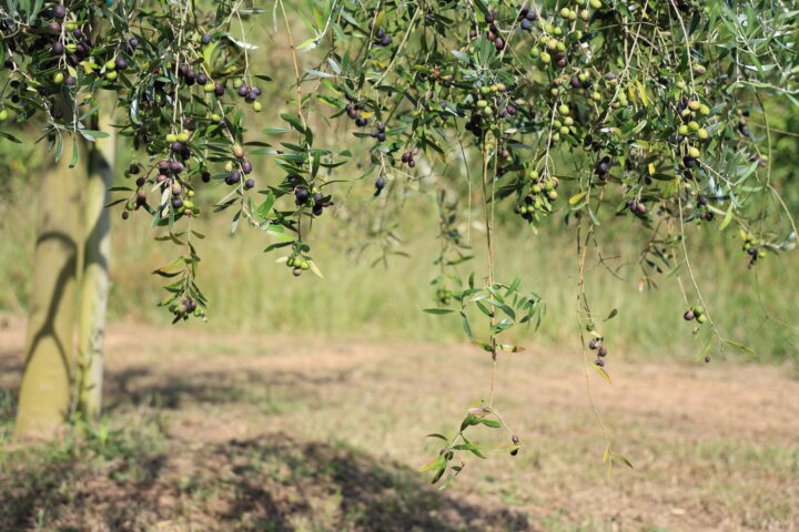 大分キヤノン写真教室