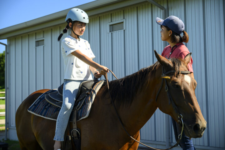 Outdoor Park in UMINAKA
