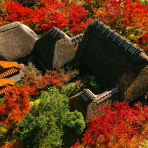 名勝・九年庵の紅葉