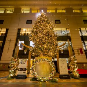 ネイチャーポジティブクリスマス