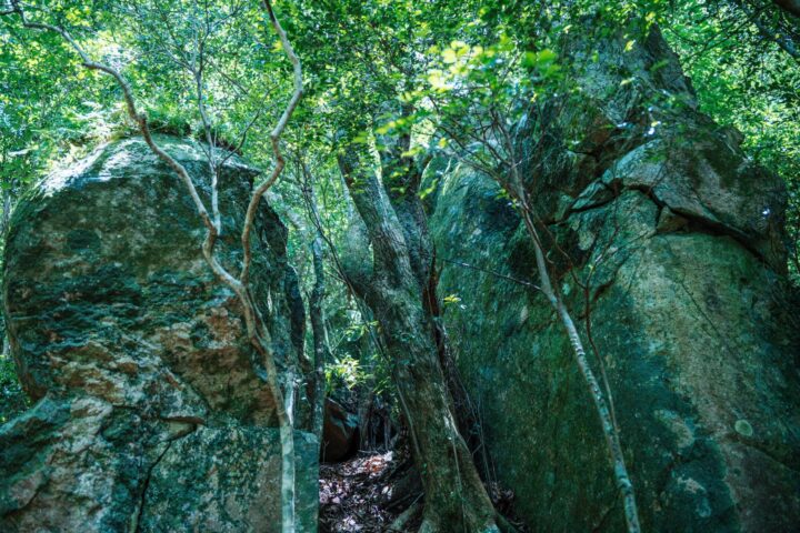 五島列島・新上五島町の公式オーディオガイド「祈りのはじまり」