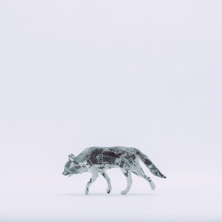 NEWSPAPER ANIMALS ― 新聞でつくる動物たち