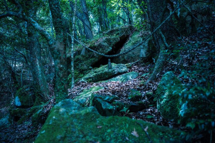 五島列島・新上五島町の公式オーディオガイド「祈りのはじまり」