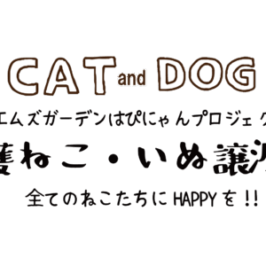 寝具メーカー菱友が規格外ペット寝具の寄贈支援を開始