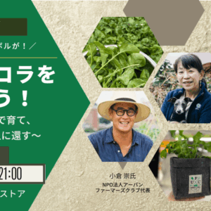 天神ルッコラを育てよう