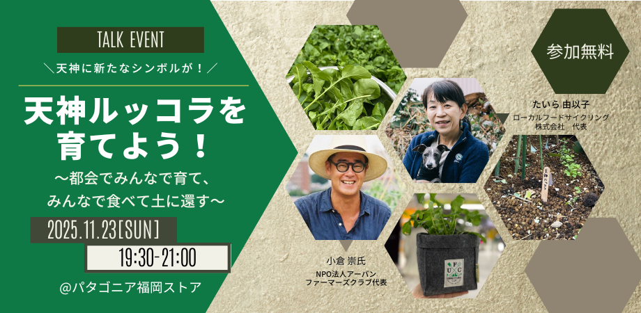 天神ルッコラを育てよう