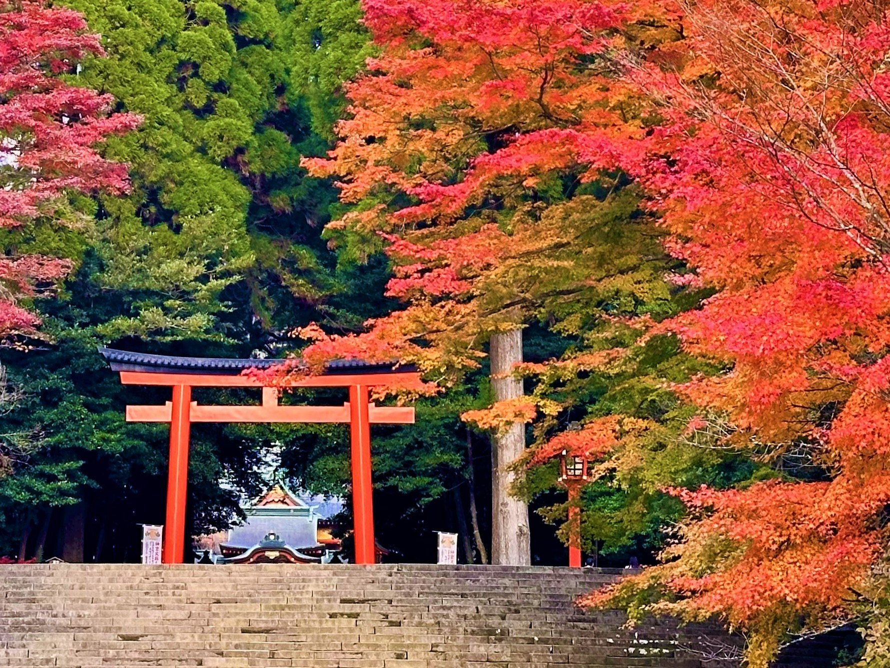 霧島の紅葉特集