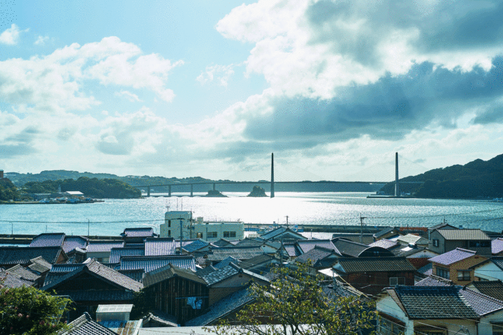 呼子・鯨の町興しプロジェクト