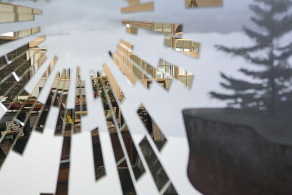 The Path to the Reversal site