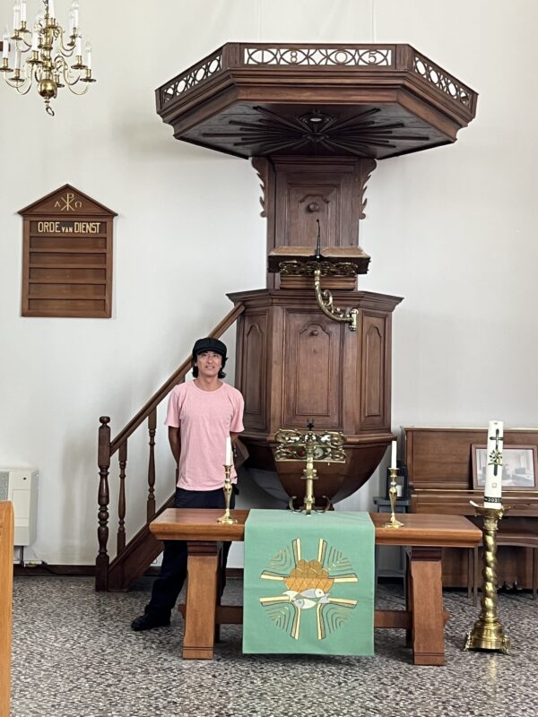 The Path to the Reversal site