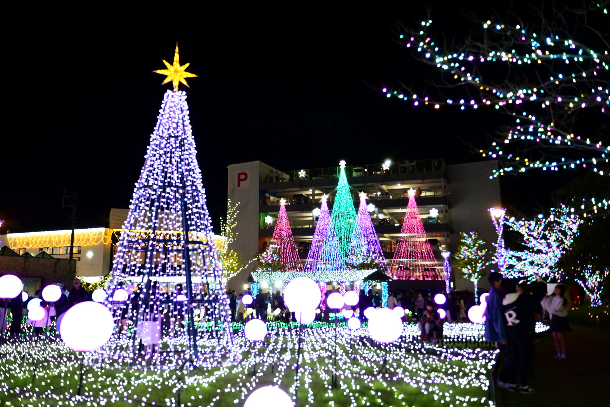 都城まちなかイルミネーション