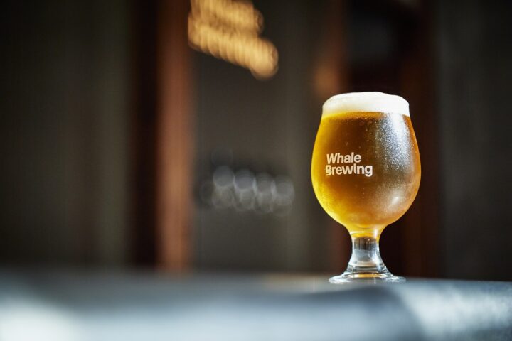 呼子・鯨の町興しプロジェクト