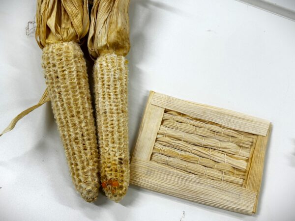 休暇村南阿蘇で世界農業遺産「地トウキビ」を未来へつなぐ 伝統展示・食・体験プログラム