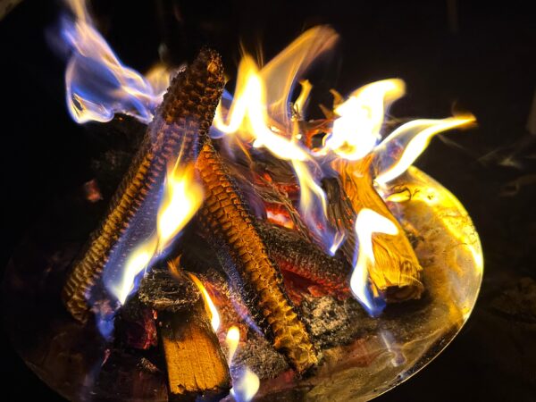 休暇村南阿蘇で世界農業遺産「地トウキビ」を未来へつなぐ 伝統展示・食・体験プログラム