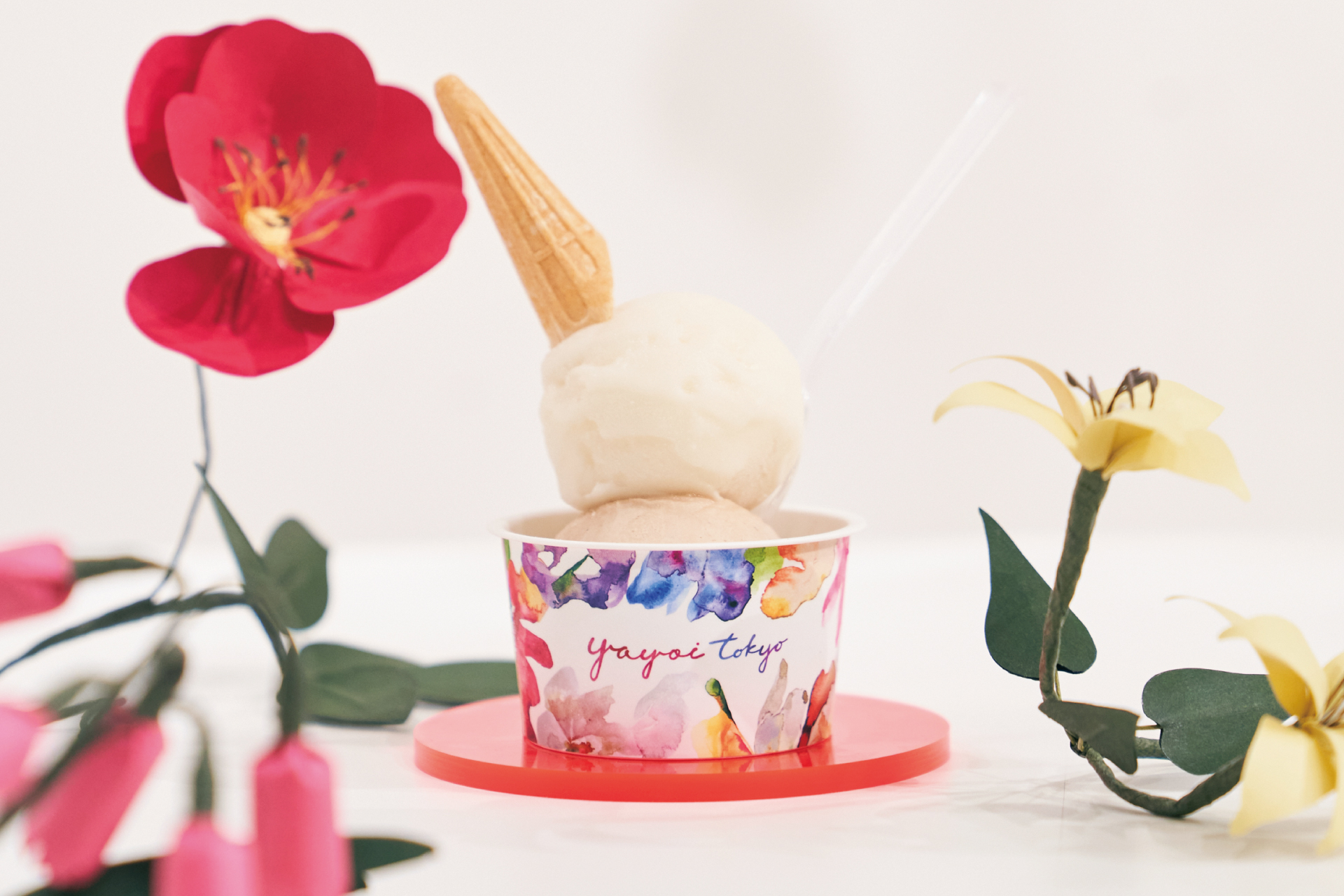 宮崎・新富町｜世界一のジェラートパティシエ「YAYOI TOKYO」との限定ジェラート、12月24日販売開始