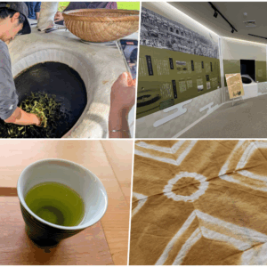 親子地方留学「ふるさとスクール」