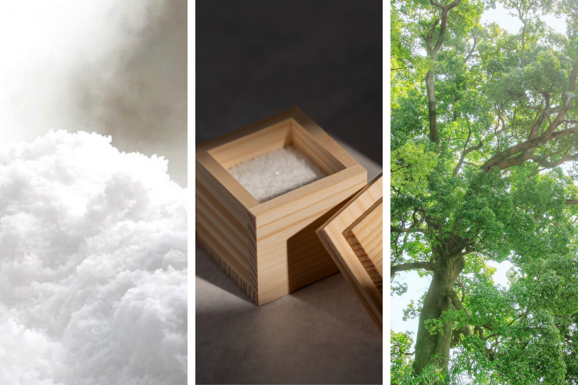 鹿児島｜神武天皇御船出の地の満潮塩を用いた新ブランド「やまとの結び」2025年12月15日発売