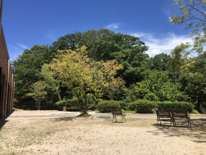 薪サウナ「THE VANISH」Nayuta