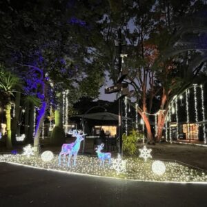 大分・別府｜SHONIN PARK初の冬を彩る「WINTER ILLUMINATION」2025年12月〜2026年3月開催