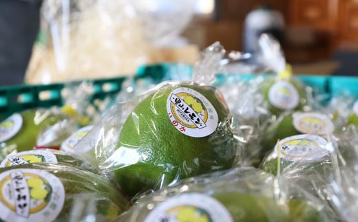 福岡|中洲「GRANADA SUITE on À TABLE」で新企画「OT SPiCE」始動、宮若市の里山レモンと出会う一皿を期間限定提供