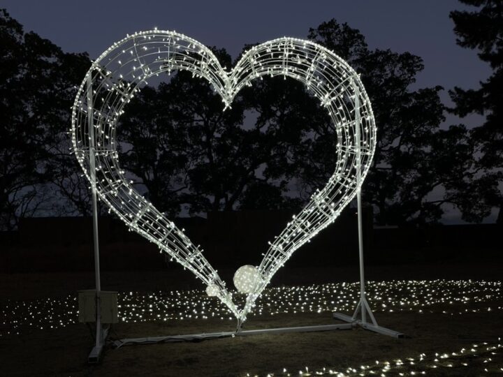 大分・別府|SHONIN PARK初の冬を彩る「WINTER ILLUMINATION」2025年12月〜2026年3月開催