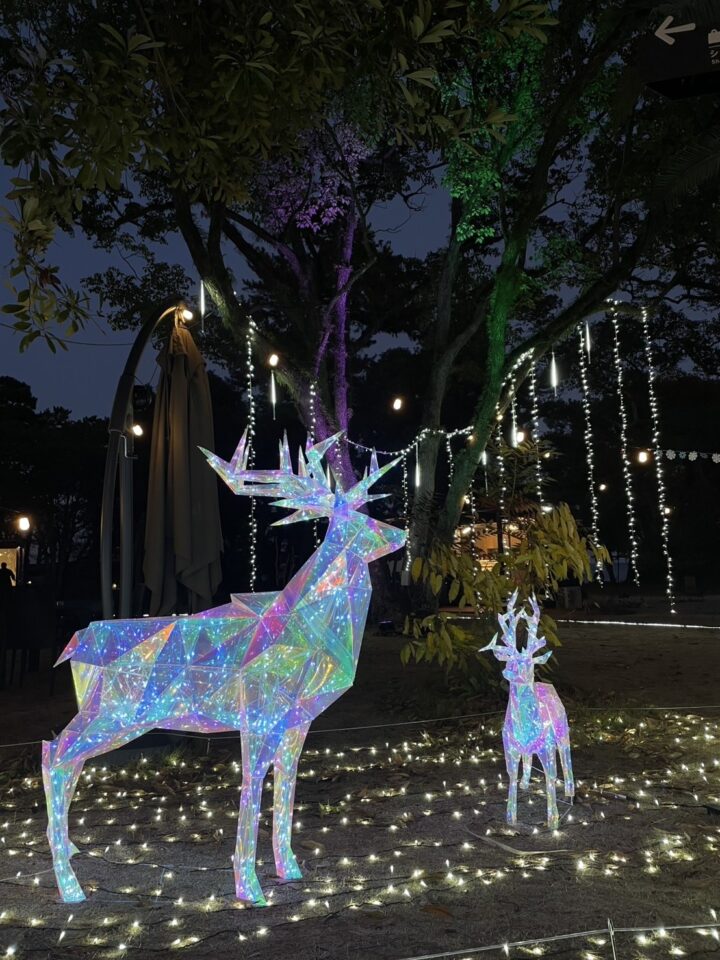 大分・別府|SHONIN PARK初の冬を彩る「WINTER ILLUMINATION」2025年12月〜2026年3月開催