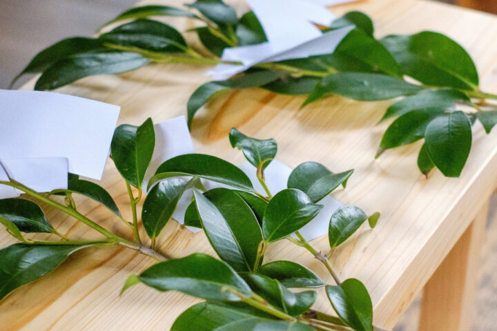 鹿児島｜神武天皇御船出の地の満潮塩を用いた新ブランド「やまとの結び」2025年12月15日発売