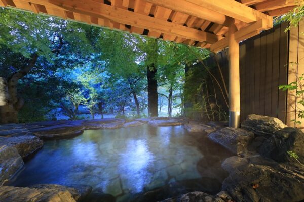 佐賀・古湯温泉「佐賀風雅」に星空を望むフィンランドサウナ誕生 ぬる湯と貸切サウナで大人の癒し旅を提案