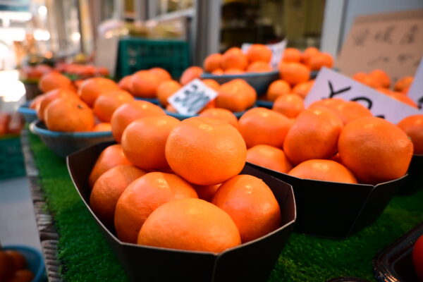 「ひらけ旦過！」愛すべき混沌と市場の温度を未来へつなぐ写真募集企画