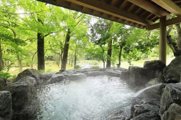 佐賀・古湯温泉「佐賀風雅」に星空を望むフィンランドサウナ誕生 ぬる湯と貸切サウナで大人の癒し旅を提案